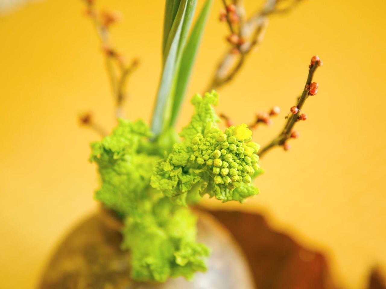 Ryokan Chinsen-Rou Nantan Bagian luar foto